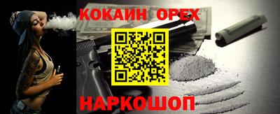 стаф Кингисепп
