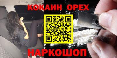 стаф Кингисепп