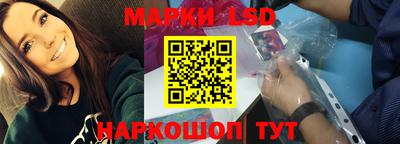 стаф Кингисепп