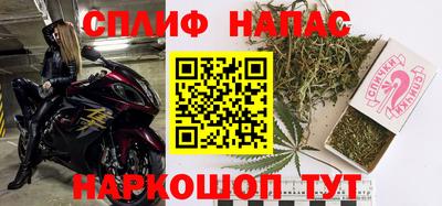 стаф Кингисепп