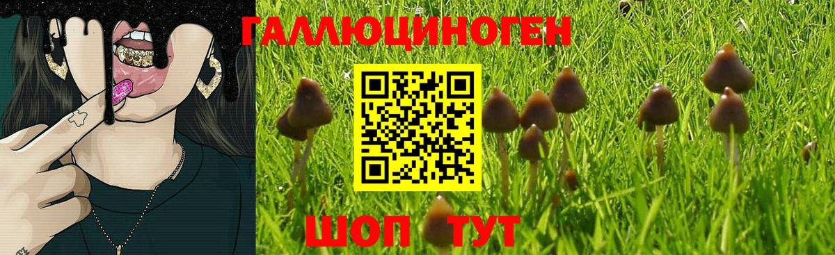 Псилоцибиновые грибы мухоморы  Галлюциногенные грибы Psilocybe  Дальнегорск  наркошоп  Вход с VPN 